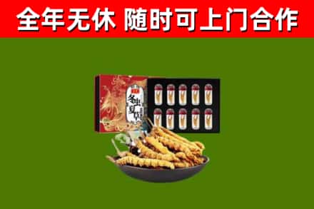 全州县回收冬虫夏草价格
