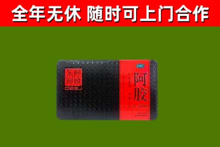 全州县回收阿胶