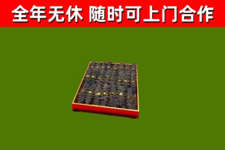 全州县回收海参